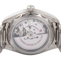 Omega Seamaster Aqua Terra