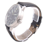 Fortis Flieger