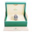 Rolex Datejust 41mm 126334 Wimbledon Dial 2023 Jubilee