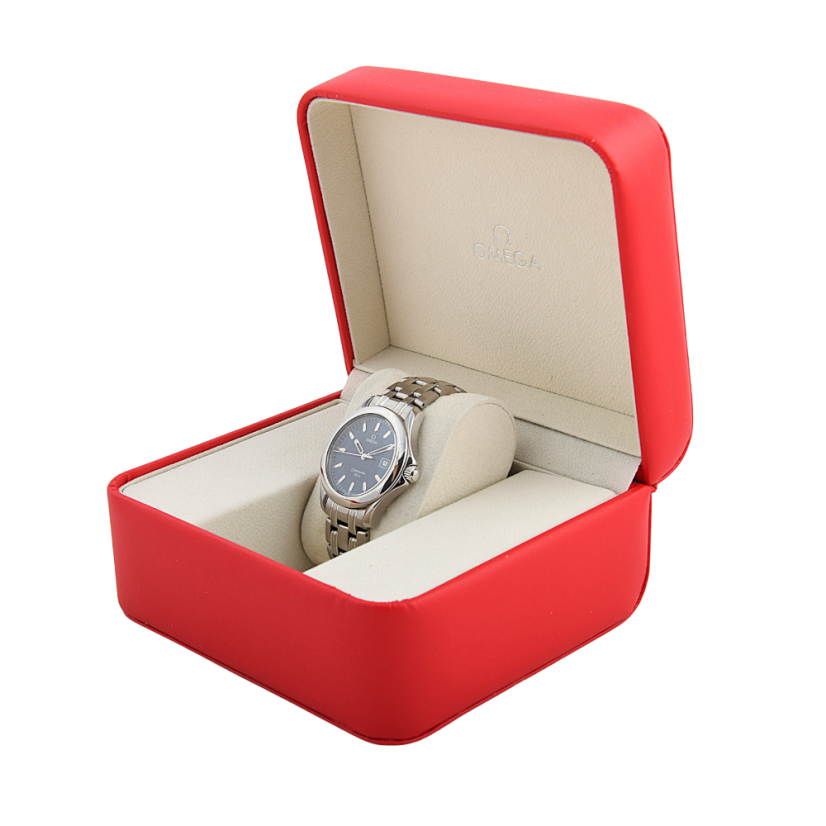 Omega Seamaster 120m