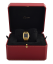 Cartier Santos Full Gold