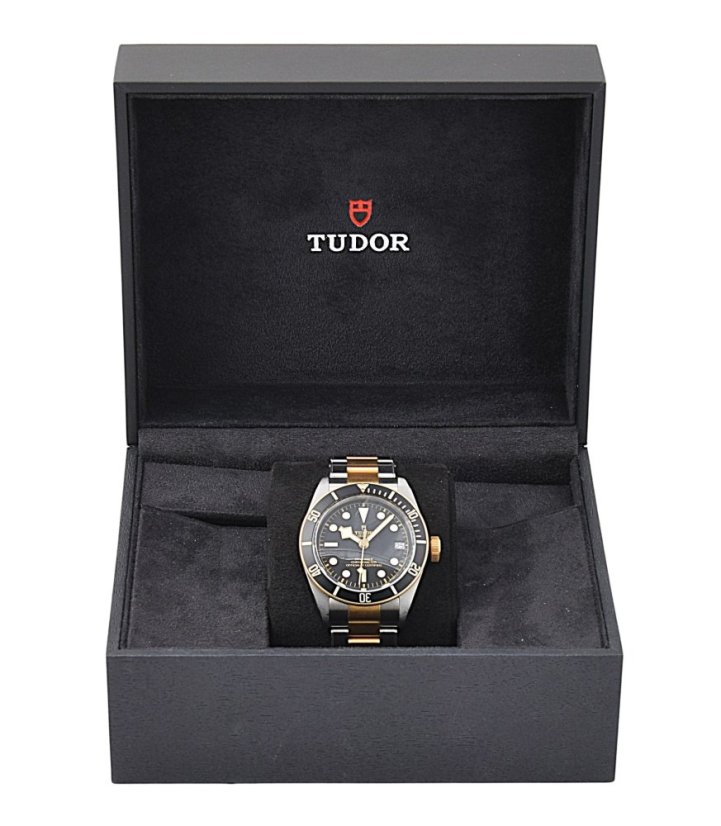 TUDOR Black Bay S&G