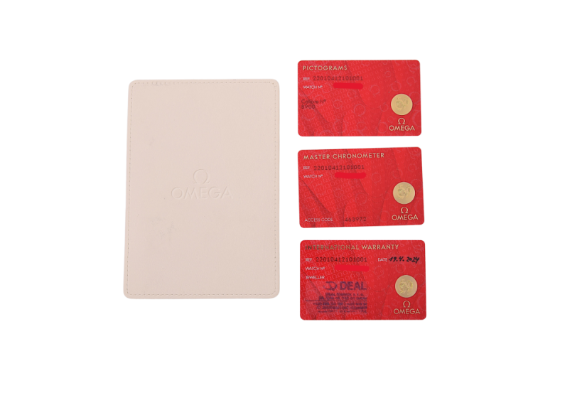 Omega Seamaster Aqua Terra 220.10.41.21.01.001