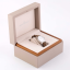 Jaeger-LeCoultre Master Compressor