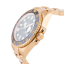 Rolex GMT Master II The Anniversary GMT