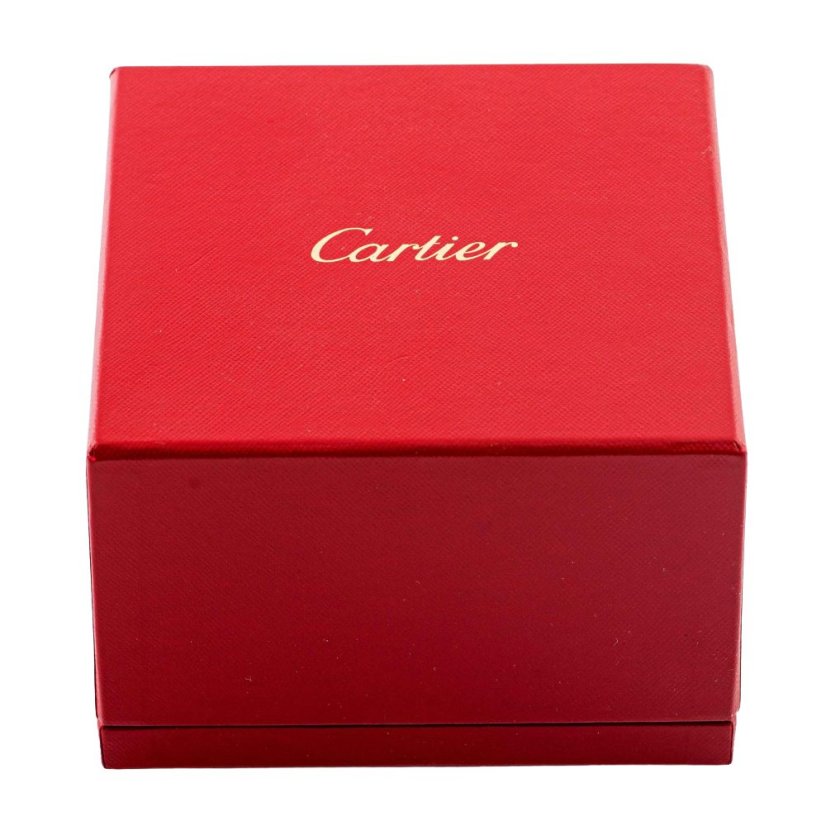 CARTIER Santos de Cartier XL