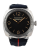Panerai Radiomir 3 Days