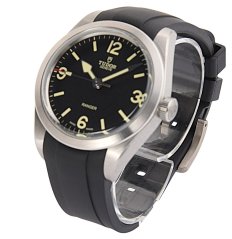 Tudor Ranger