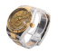 Rolex Sky-Dweller